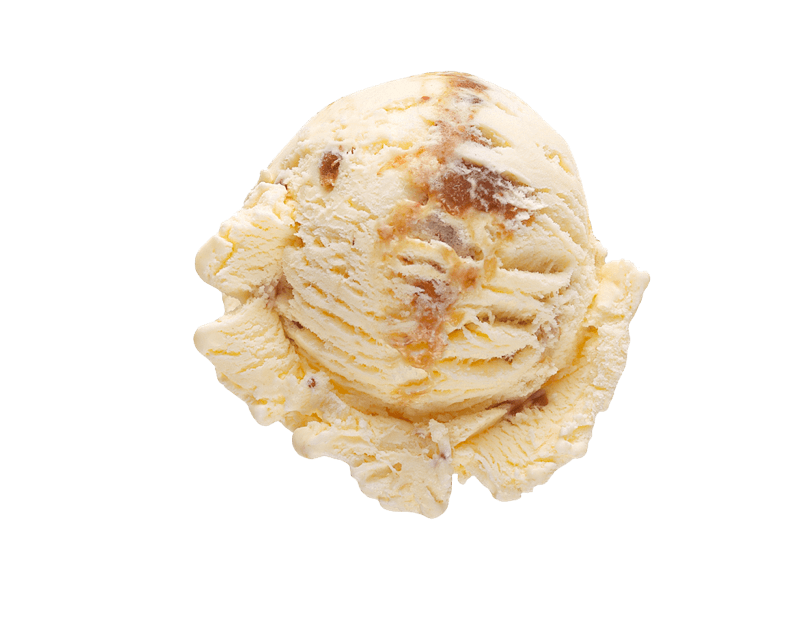 Fig & Manuka Honey ice cream scoop