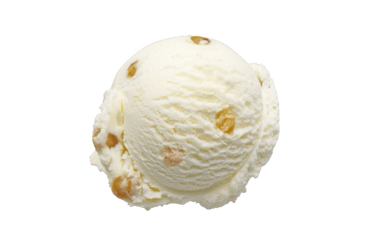 Hokey Pokey ice cream scoop